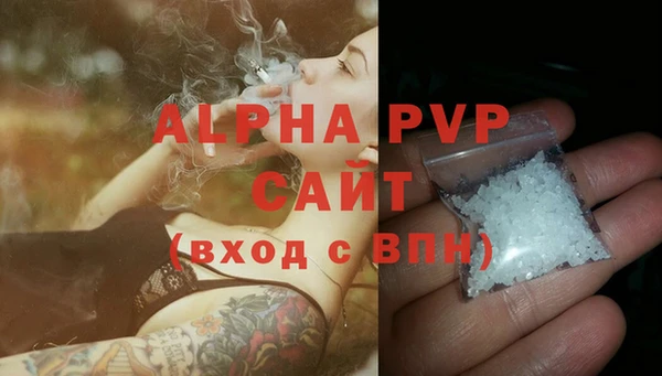 молекула духа Козельск