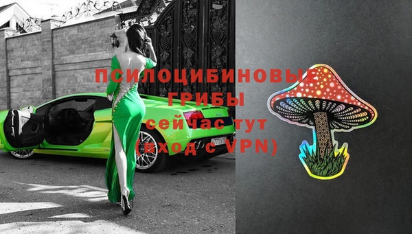 молекула духа Козельск