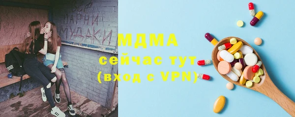 молекула духа Козельск
