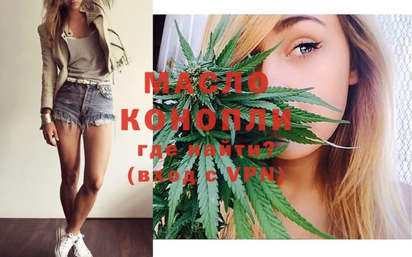 молекула духа Козельск