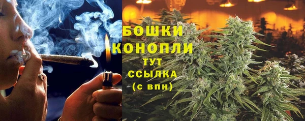 молекула духа Козельск
