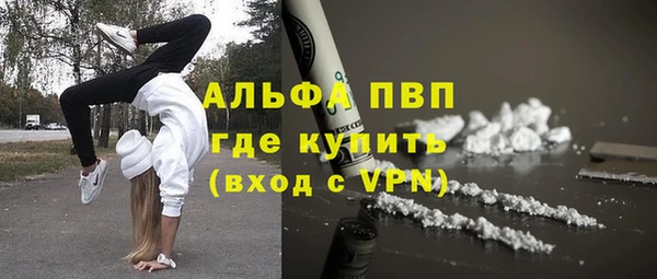 молекула духа Козельск