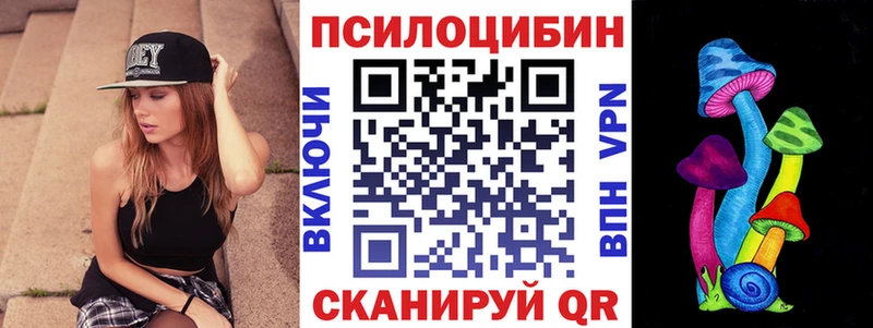 Купить  Тбилисская  Псилоцибиновые грибы прущие грибы 